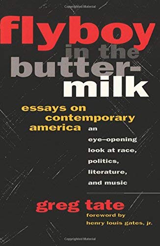 Flyboy In The Buttermilk: Essays On Contemporary America,New