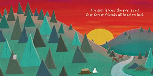 NightNight, Forest Friends,Used