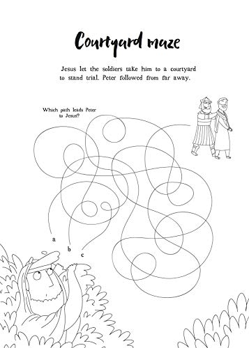 The Friend Who Forgives  Colouring and Activity Book (Tales That Tell the Truth),Used