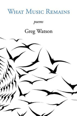 What Music Remains: Poems,Used