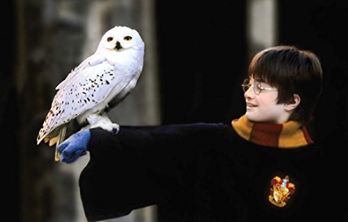 Harry Potter: The Postcard Collection,New