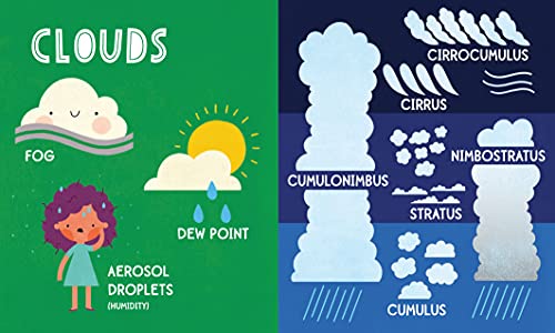 My First 100 Weather Words: A STEM Vocabulary Builder for Babies and Toddlers (My First STEAM Words),Used