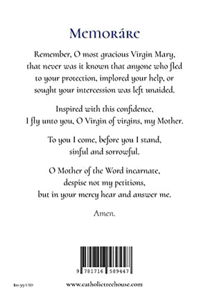 The Seven Sorrows of Mary Prayer Journal,Used