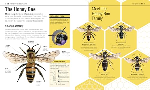 The Bee Book: Discover the Wonder of Bees and How to Protect Them for Generations to Come,New