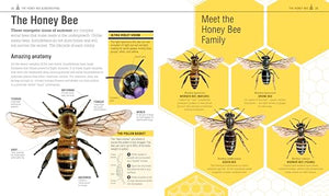 The Bee Book: Discover the Wonder of Bees and How to Protect Them for Generations to Come,Used