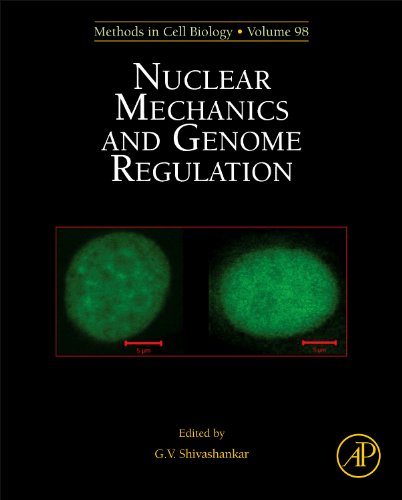 Nuclear Mechanics and Genome Regulation (Volume 98) (Methods in Cell Biology, Volume 98),Used