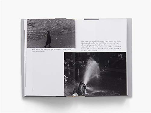 The Sweet Flypaper Of Life (Softcover)-used