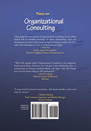 Organizational Consulting: How to Be an Effective Internal Change Agent,Used