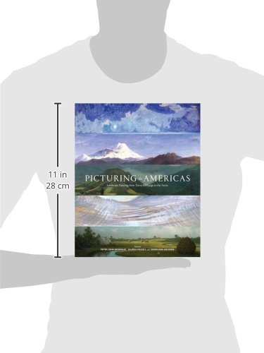 Picturing the Americas: Landscape Painting from Tierra del Fuego to the Arctic,Used