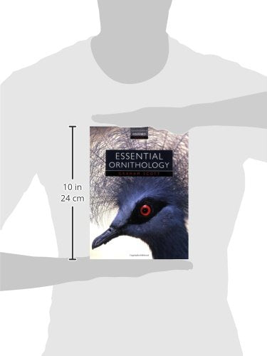 Essential Ornithology,Used