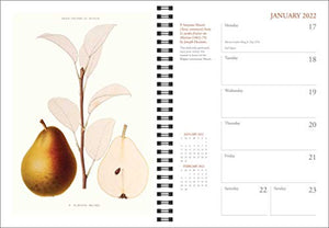 The New York Botanical Garden 2022 Engagement Calendar,Used
