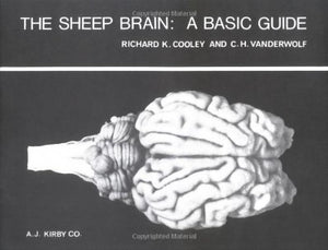 The Sheep Brain: A Basic Guide,Used