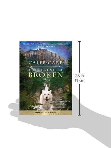The Legend of Broken,Used
