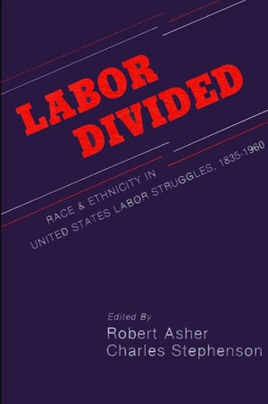 Labor Divided: Race and Ethnicity in United States Labor Struggles, 18351960 (Suny Series in American Labor History),Used