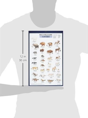 Mac's Field Guides: North American Land Mammals (Mac's Guides (Paperback)),New