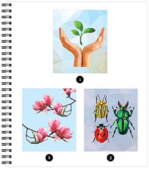 Brain Games  Sticker by Number: Country Garden,New