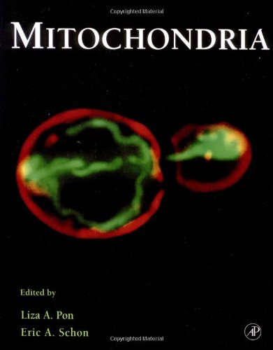 Mitochondria (Volume 65) (Methods in Cell Biology, Volume 65),Used