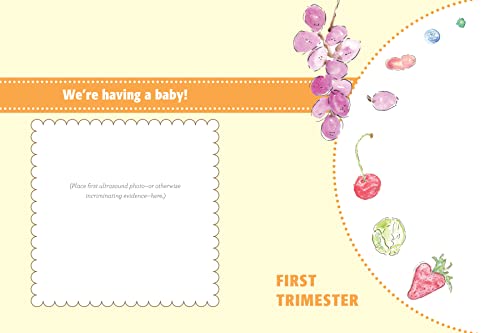 From Pea to Pumpkin: A Pregnancy Journal (Mother's Day Gift for Expecting Moms),Used