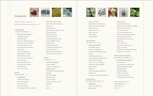 A Way To Garden: A Handson Primer For Every Season