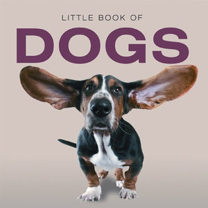 Little Book of Dogs,Used