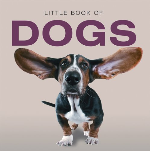 Little Book of Dogs,Used