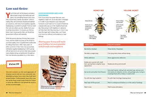 Homegrown Honey Bees: An Absolute Beginner'S Guide To Beekeeping Your First Year, From Hiving To Honey Harvest,Used