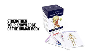 Anatomy Flashcards
