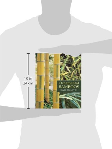 Ornamental Bamboos-used