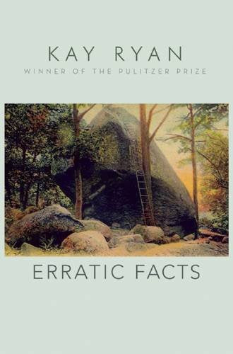 Erratic Facts,Used