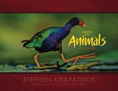 Among the Animals: Mississippi,Used