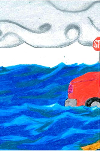 Tilly And The Ferocious Flood,Used