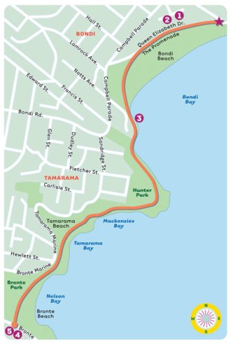 City Walks: Sydney 50 Adventures On Foot-used