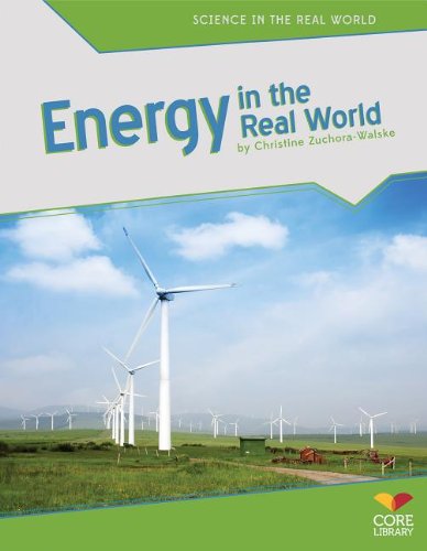 Energy In The Real World (Science In The Real World),Used
