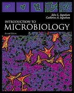 Introduction to Microbiology (with InfoTrac and Cogito CDROM),Used