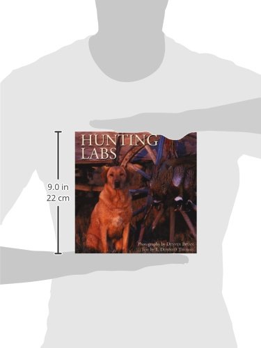 Hunting Labs,Used