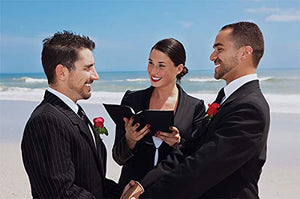 The Gay Couple's Guide to Wedding Planning: Everything Gay Men Need to Know to Create a Fun, Romantic, and Memorable Ceremony,Used