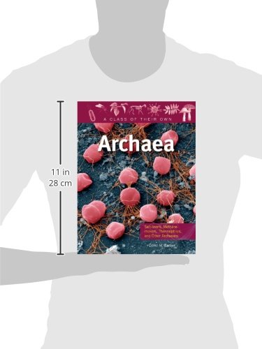 Archaea: Saltlovers, Methanemakers, Thermophiles, And Other Archaeans (Class Of Their Own),New