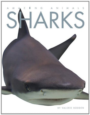 Amazing Animals: Sharks,Used