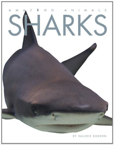 Amazing Animals: Sharks,New