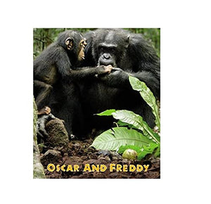 Chimpanzee Oscar and Freddy (Disney Nature Chimpanzee),Used