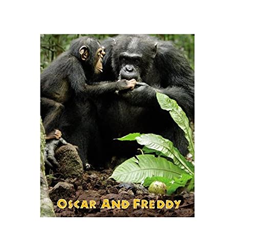 Chimpanzee Oscar and Freddy (Disney Nature Chimpanzee),Used