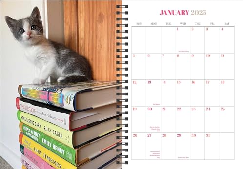 Cats & Books 12Month 2025 Planner Calendar,Used