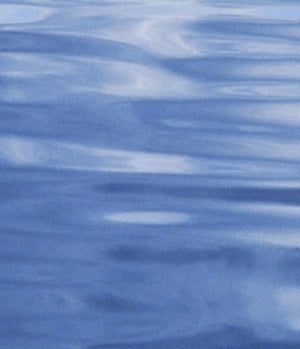 Annual Review of Environment and Resources 2005 (Annual Review of Environment & Resources),Used