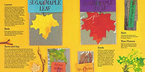 Red Leaf, Yellow Leaf,New