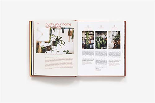 Plant Tribe: Living Happily Ever After with Plants,Used