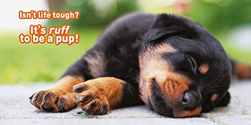 It's a Puppy's Life,Used
