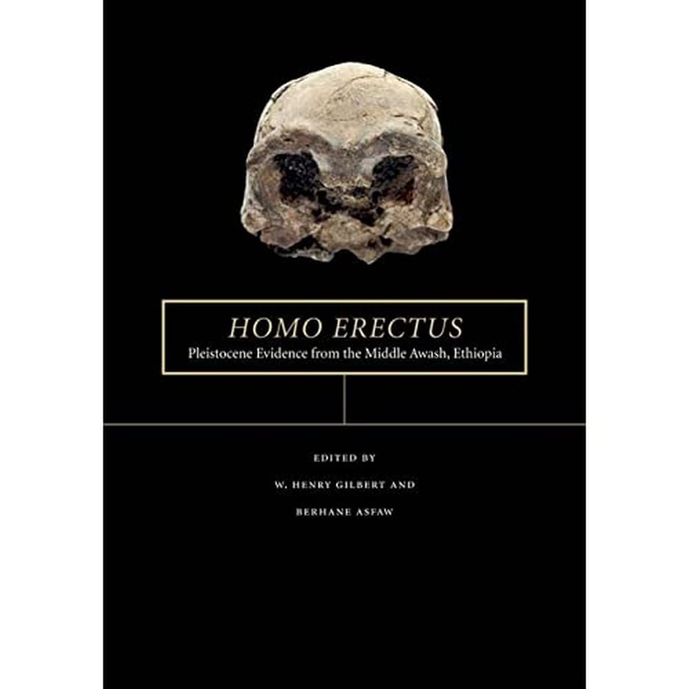 Homo erectus: Pleistocene Evidence from the Middle Awash, Ethiopia (The Middle Awash Series),Used