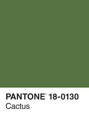 Pantone 50 Postcards,New