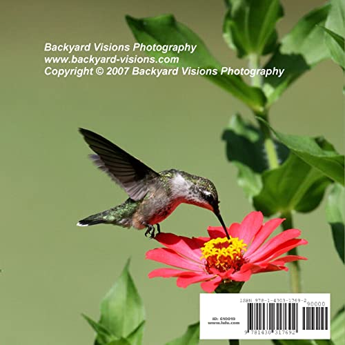 Backyard Visions: The Rubythroated Hummingbird,Used