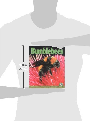 Bumblebees (Early Bird Nature Books),Used